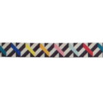 Zeedog Fritz Collar Perro Small - Imagen 2