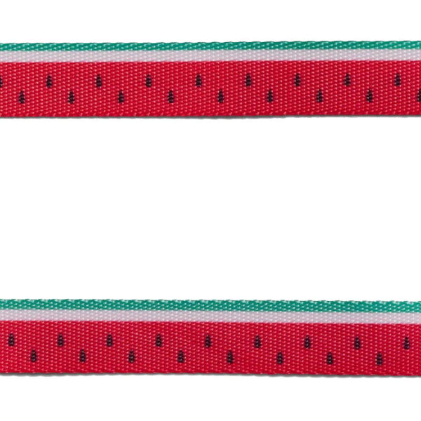 ZeeDog Lola Collar Perro Large - Imagen 2