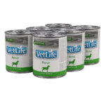 Pack 6 Latas - Vet Life Renal Perro 300gr