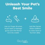 Oxyfresh Kit Cuidado Dental Perro Gato - Imagen 3