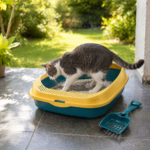 Baño Arenero Para Gato Con Pala 45x34cm Antiderrame - Imagen 2
