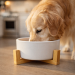 Plato Ceramico Elevado Perros Base Bamboo 17cms - Imagen 2