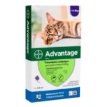 Advantage Pipeta Gato De 4 a 8Kg