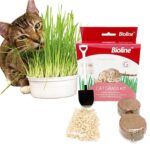 Bioline Kit Completo Siembra Hierba Gatera - Imagen 2