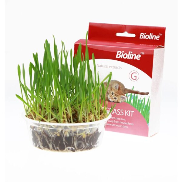 Bioline Kit Completo Siembra Hierba Gatera - Imagen 1