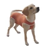 Body Post Operatorio con Cobre Perro Talla 11 (30 a 35 Kgs)