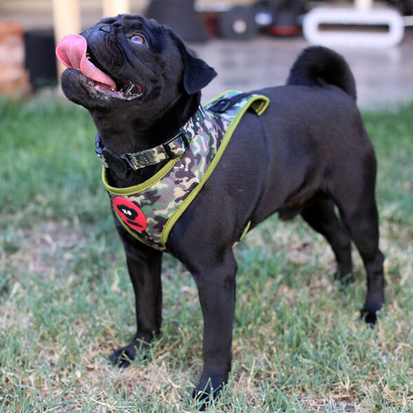 Brnx Arnes Respirable Camuflaje Perro Small - Imagen 5
