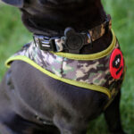 Brnx Collar Perro Camuflaje Medium - Imagen 6