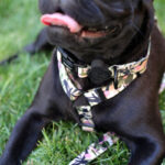 Brnx Collar Perro Forest Pink Large - Imagen 3