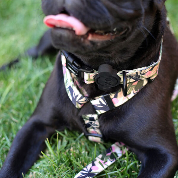 Brnx Collar Perro Forest Pink Large - Imagen 3
