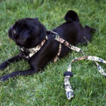 Brnx Correa Perro Forest Pink 120 cm - Imagen 2