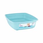 Cat Love Baño Gato Simple Color Celeste