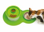 Catit Alfombra Protectora Anti Derrames Bebedero Con Plato - Imagen 2