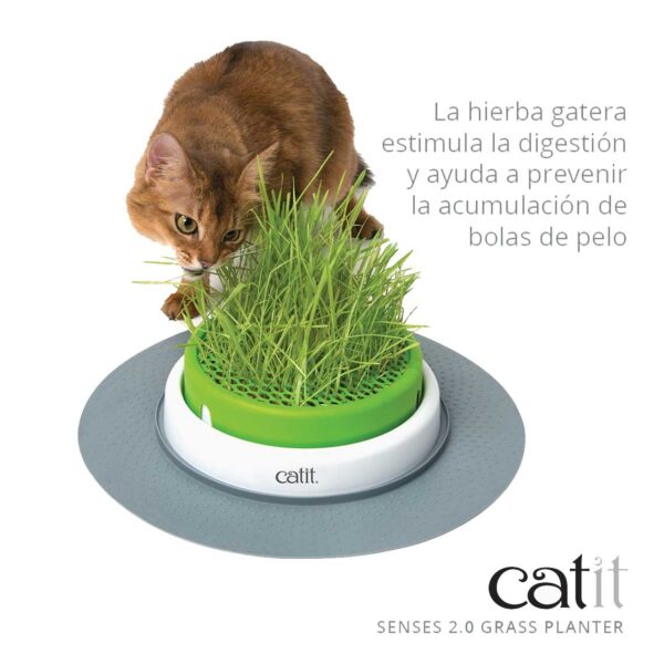 Catit Kit Germinador de Pasto Cat Grass - Imagen 2