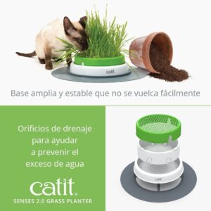 Catit Kit Germinador de Pasto Cat Grass - Imagen 4