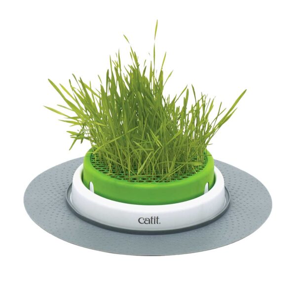 Catit Kit Germinador de Pasto Cat Grass - Imagen 1