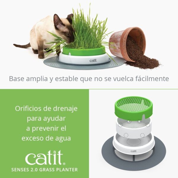 Catit Kit Germinador de Pasto Cat Grass - Imagen 4