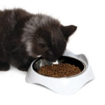 Catit Pixi Plato Bajo para Gatos 200ml - Imagen 2