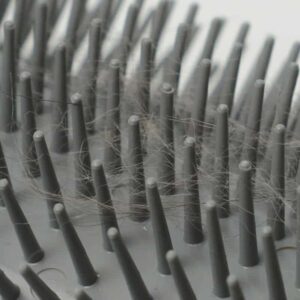 Marben Rascador Gato Self Groomer con Catnip - Imagen 4