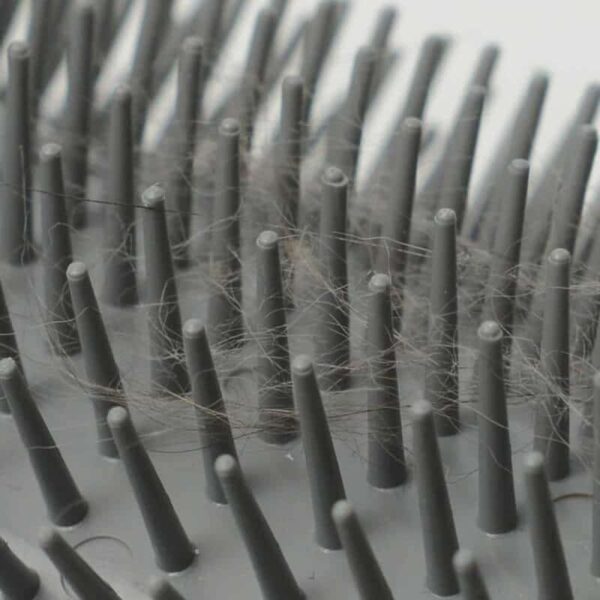 Marben Rascador Gato Self Groomer con Catnip - Imagen 4