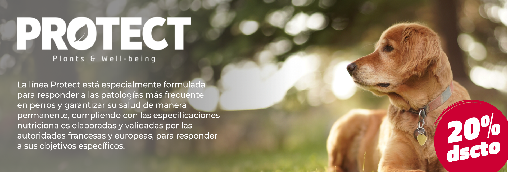CentroPet - Alimentos y Accesorios Para Mascotas