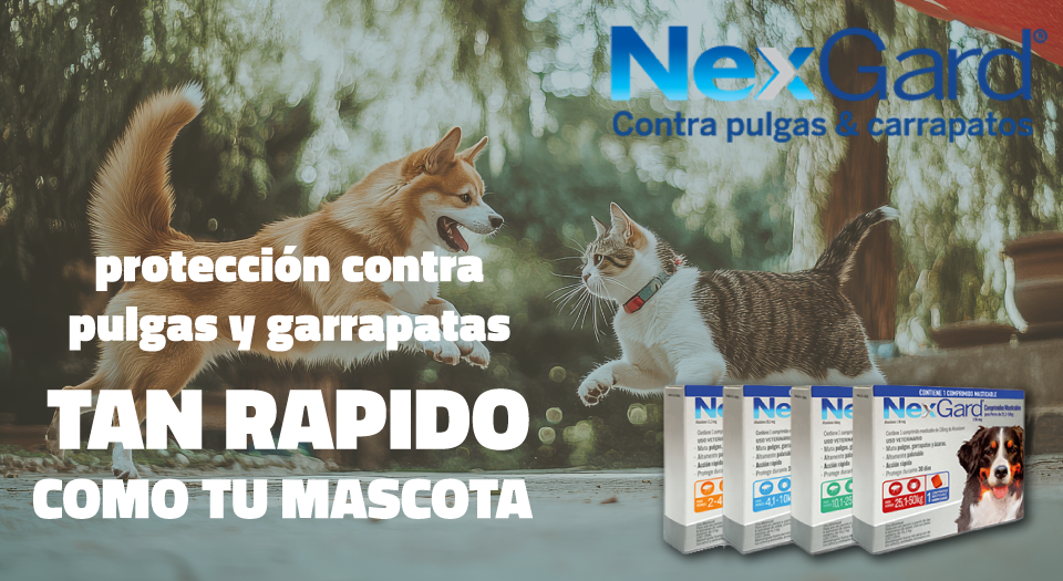 CentroPet - Alimentos y Accesorios Para Mascotas
