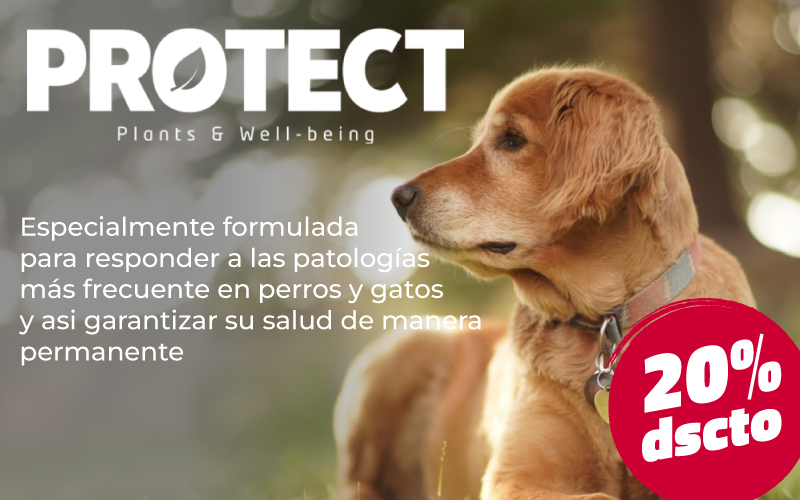 CentroPet - Alimentos y Accesorios Para Mascotas