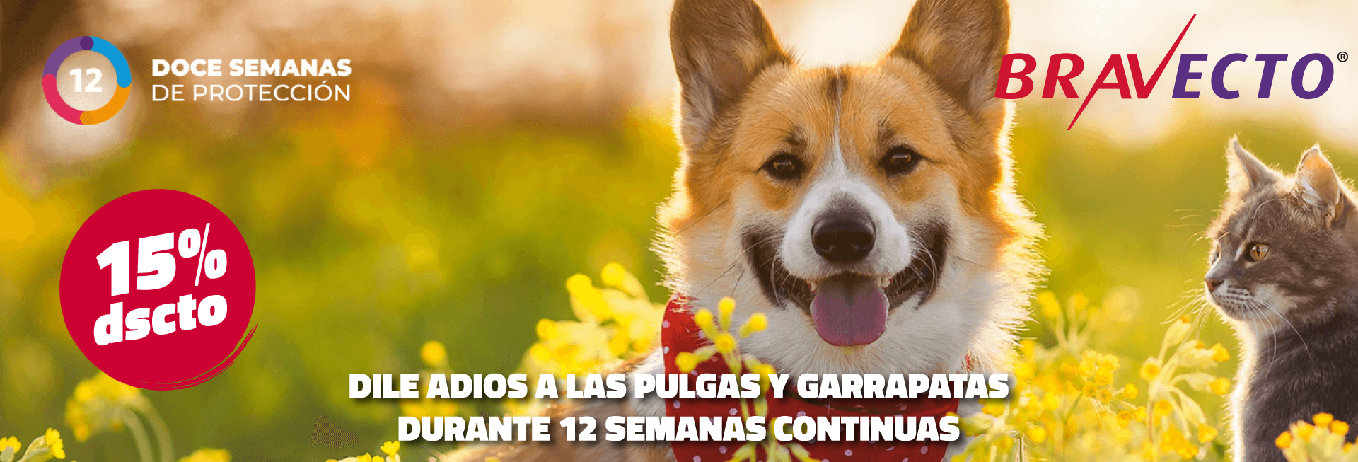 CentroPet - Alimentos y Accesorios Para Mascotas