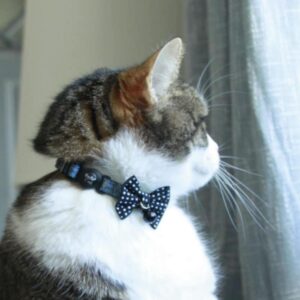 Coastal Collar Gato Diseño Embellished Rojo - Imagen 3