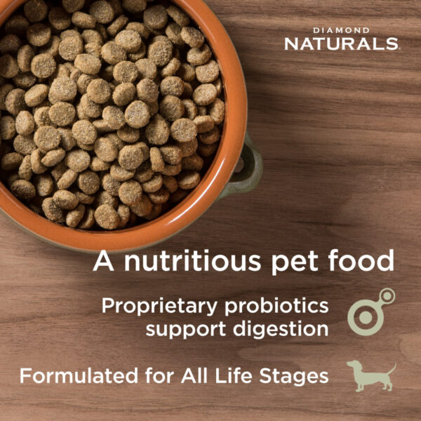 Diamond Naturals Skin & Coat (Salmón) 7.5Kg - Imagen 2