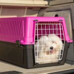 Ferplast Atlas 10 Transportador Perros y Gatos Hasta 5Kg - Imagen 2