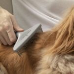 FURminator Cepillo Perros y Gato de Pelaje Grueso - Imagen 3