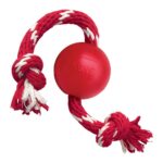 Kong Ball Con Cuerda