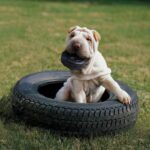 Kong Extreme Tyres Small - Imagen 3