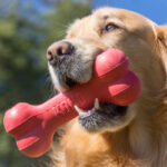 Kong Goodie Bone Medium - Imagen 3