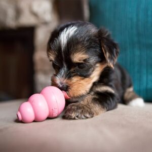 Kong Puppy Large - Imagen 3