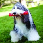 Kong Squeezz Ball Large - Imagen 3