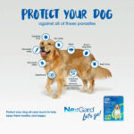 Nexgard Spectra Perro 7.6 a 15kg 3 Comprimidos - Imagen 3