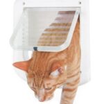 Pawise Puerta Para Gatos  Medium 18 x 18 cm - Imagen 2