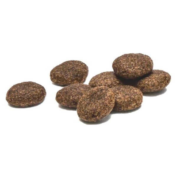 PlaqueOff Cuidado Dental Perros 60Grs - Imagen 2