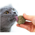 Wonder Cat Bola Catnip Natural Tamaño XL 5cms - Imagen 2