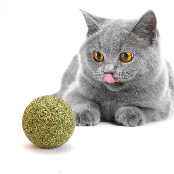 Wonder Cat Bola Catnip Natural Tamaño XL 5cms - Imagen 1